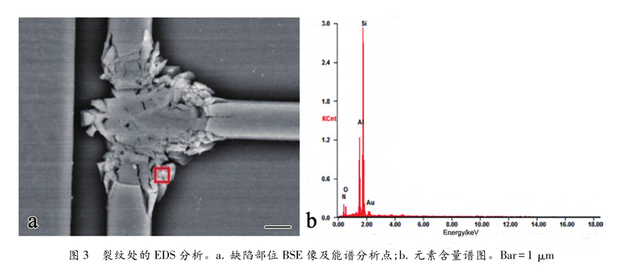 超聲波清洗暗藏"芯片密碼":二氧化硅顆粒撞擊機(jī)理揭秘 超聲波清洗暗藏"芯片密碼":二氧化硅顆粒撞擊機(jī)理揭秘