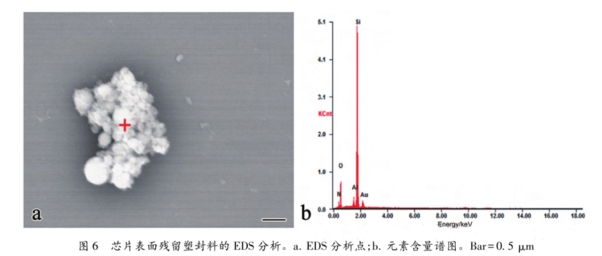 超聲波清洗暗藏"芯片密碼":二氧化硅顆粒撞擊機(jī)理揭秘 超聲波清洗暗藏"芯片密碼":二氧化硅顆粒撞擊機(jī)理揭秘